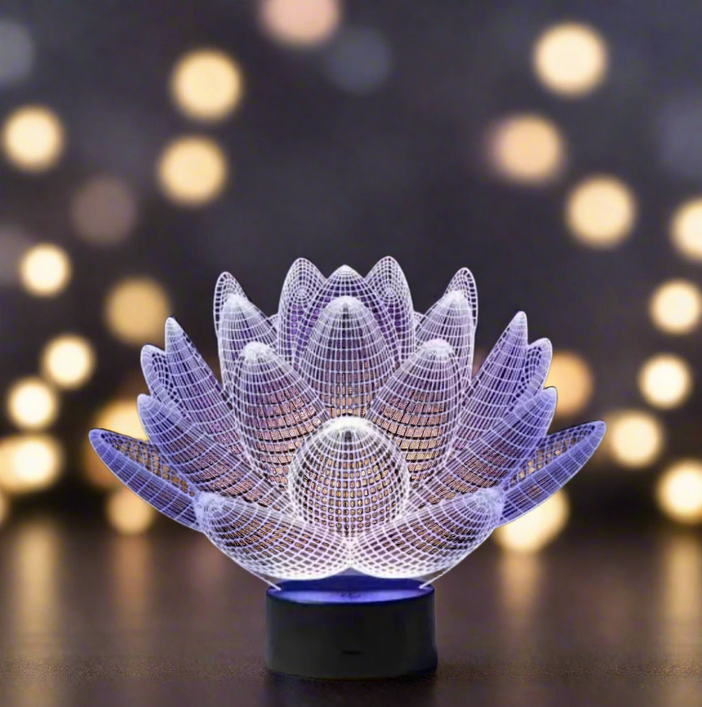 Customized 3d Art Acrylic Lamp